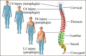 Description of image